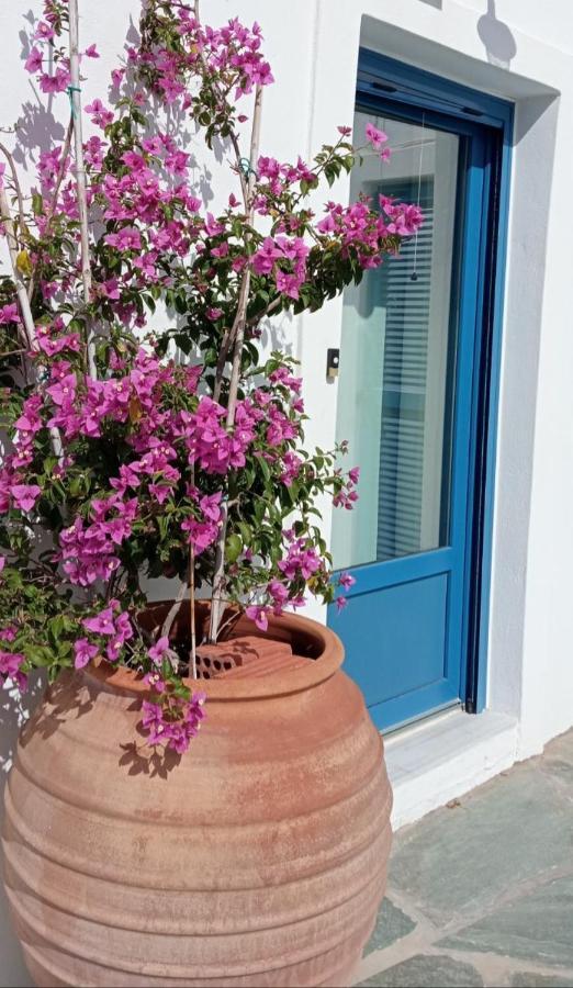 The Veranda Of Gavrion-Exclusive, Centrally Located With Seaview Экстерьер фото